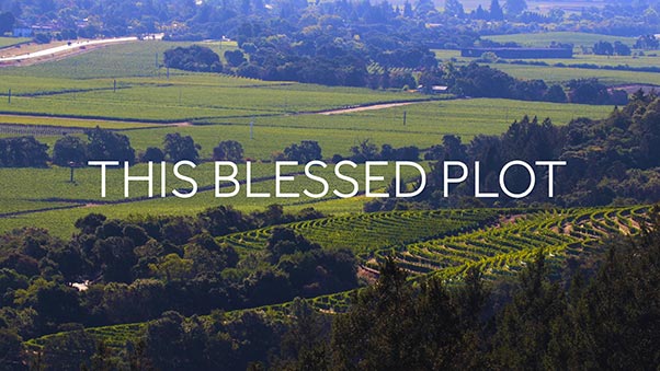 This Blessed Plot